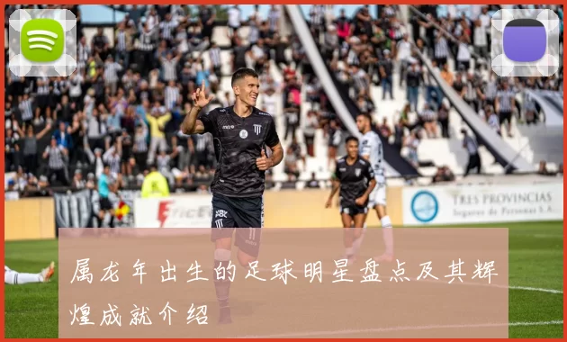 属龙年出生的足球明星盘点及其辉煌成就介绍