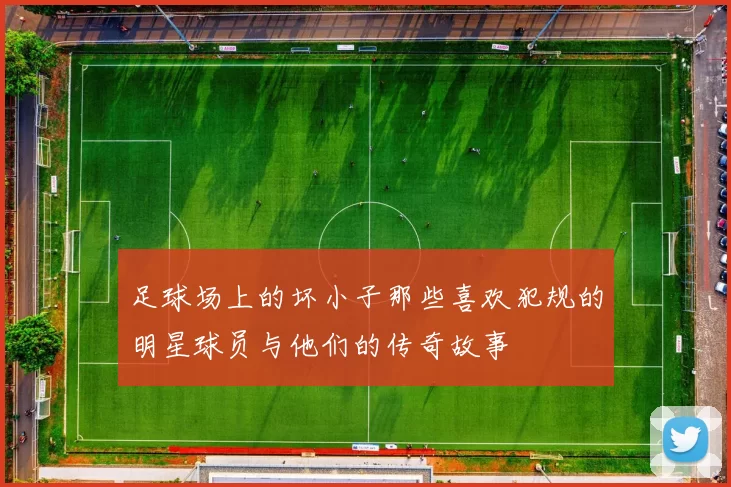 足球场上的坏小子那些喜欢犯规的明星球员与他们的传奇故事