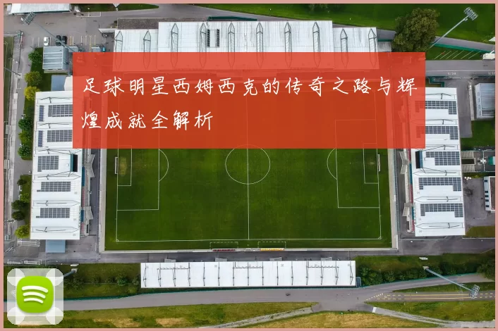 足球明星西姆西克的传奇之路与辉煌成就全解析