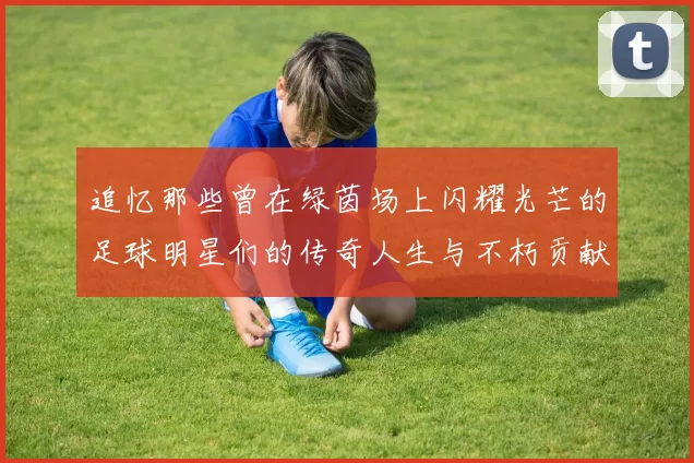 追忆那些曾在绿茵场上闪耀光芒的足球明星们的传奇人生与不朽贡献