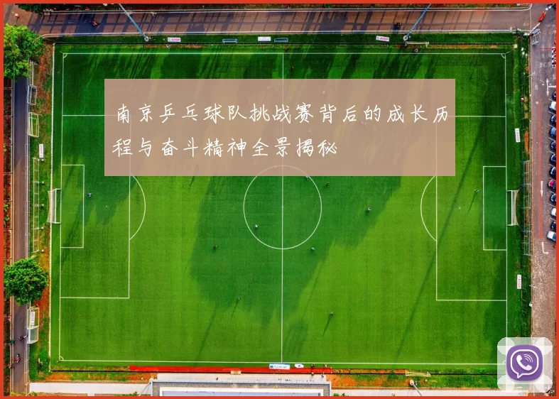 南京乒乓球队挑战赛背后的成长历程与奋斗精神全景揭秘