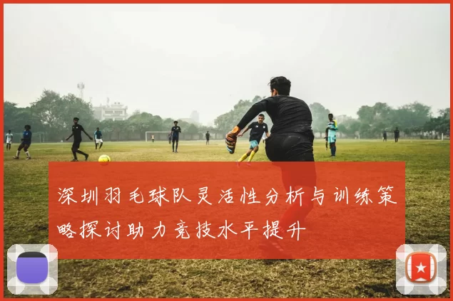 深圳羽毛球队灵活性分析与训练策略探讨助力竞技水平提升