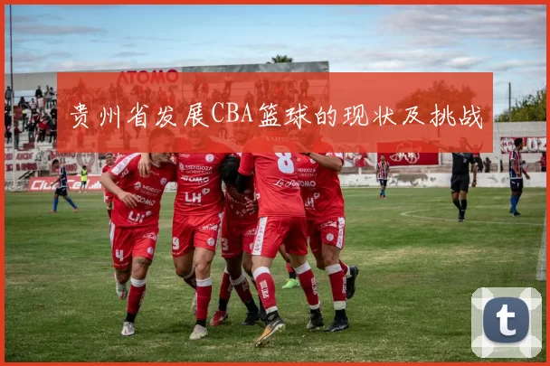 贵州省发展CBA篮球的现状及挑战