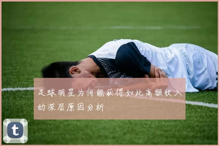 足球明星为何能获得如此高额收入的深层原因分析