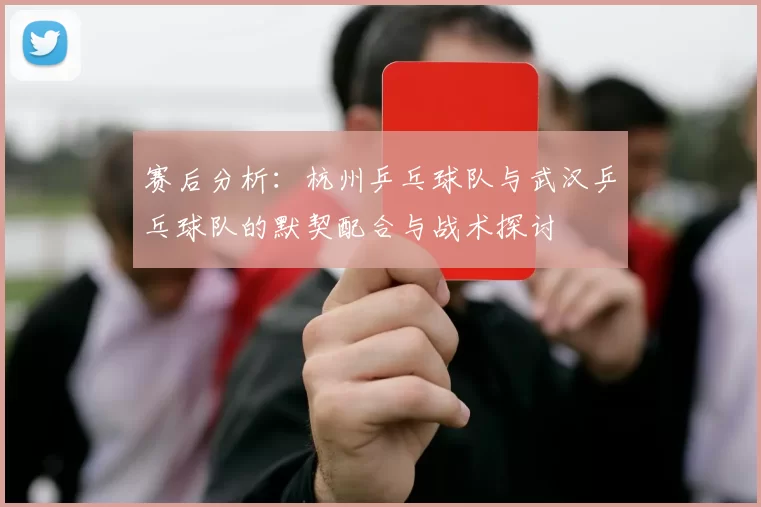 赛后分析：杭州乒乓球队与武汉乒乓球队的默契配合与战术探讨