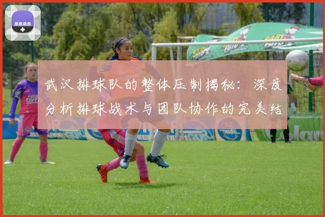 武汉排球队的整体压制揭秘：深度分析排球战术与团队协作的完美结合