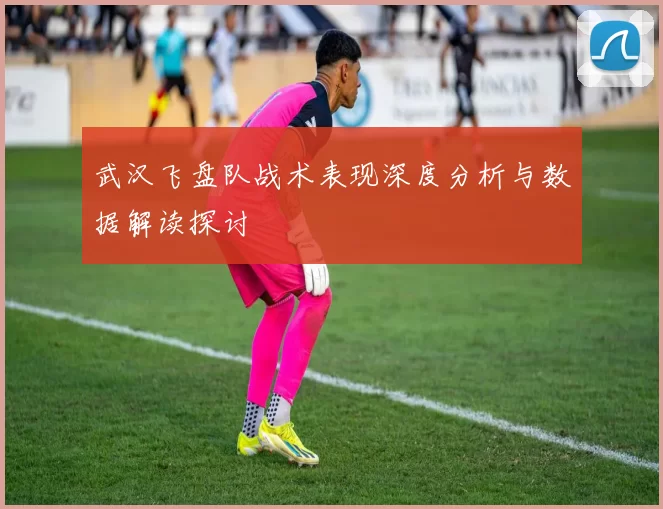 武汉飞盘队战术表现深度分析与数据解读探讨