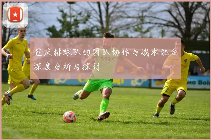 重庆排球队的团队协作与战术配合深度分析与探讨