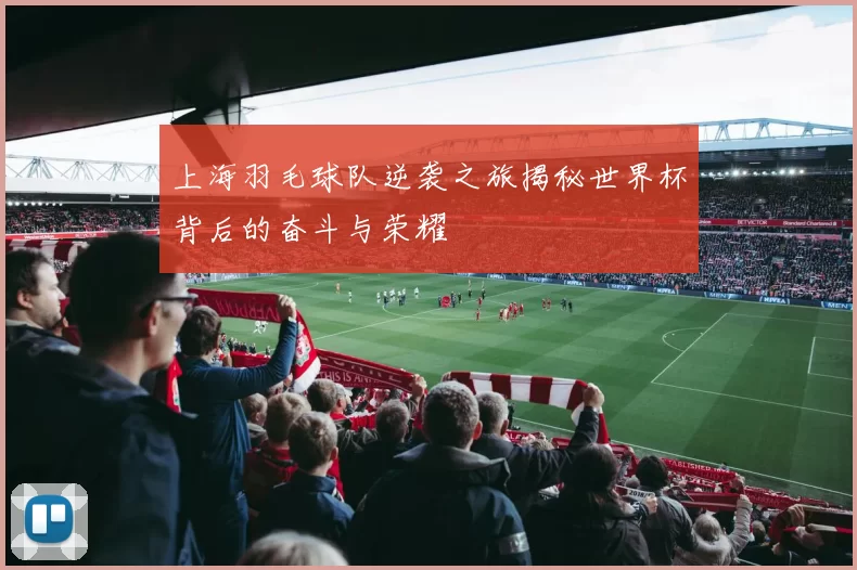 上海羽毛球队逆袭之旅揭秘世界杯背后的奋斗与荣耀