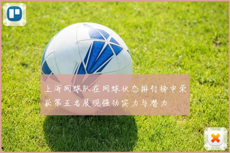 上海网球队在网球状态排行榜中荣获第五名展现强劲实力与潜力