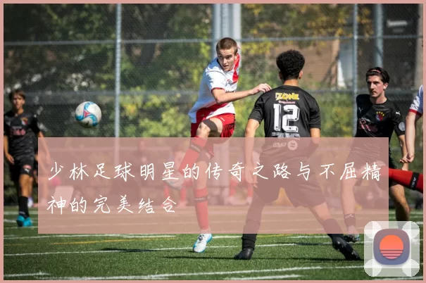 少林足球明星的传奇之路与不屈精神的完美结合