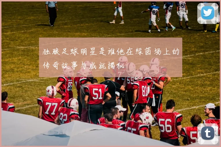 独狼足球明星是谁他在绿茵场上的传奇故事与成就揭秘