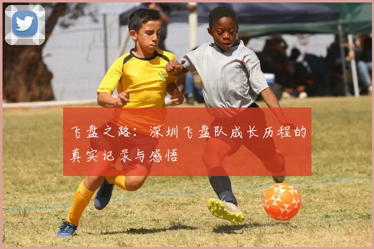 飞盘之路：深圳飞盘队成长历程的真实记录与感悟