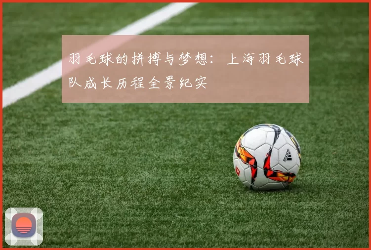 羽毛球的拼搏与梦想：上海羽毛球队成长历程全景纪实