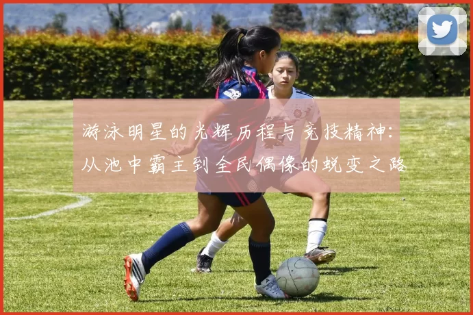 游泳明星的光辉历程与竞技精神：从池中霸主到全民偶像的蜕变之路