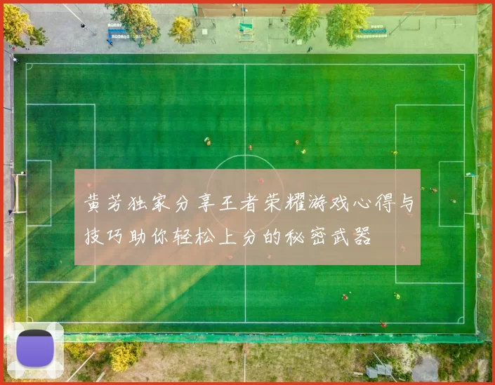 黄芳独家分享王者荣耀游戏心得与技巧助你轻松上分的秘密武器