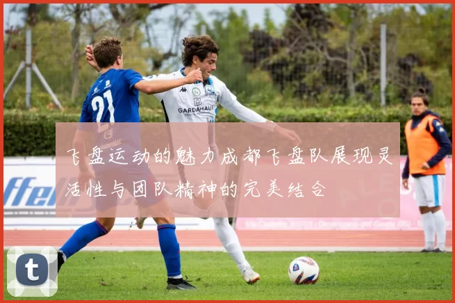 飞盘运动的魅力成都飞盘队展现灵活性与团队精神的完美结合