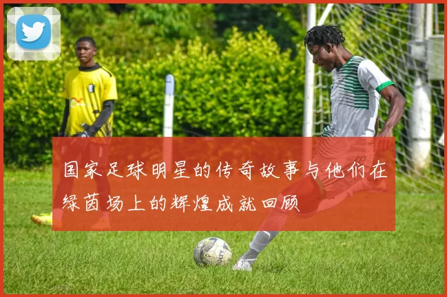 国家足球明星的传奇故事与他们在绿茵场上的辉煌成就回顾