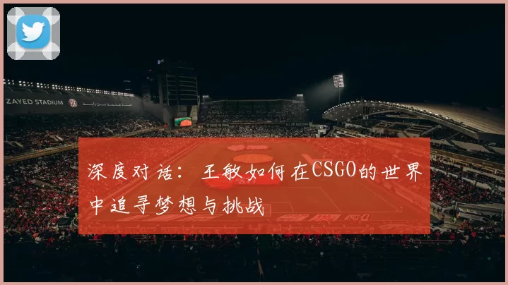 深度对话：王敏如何在CSGO的世界中追寻梦想与挑战