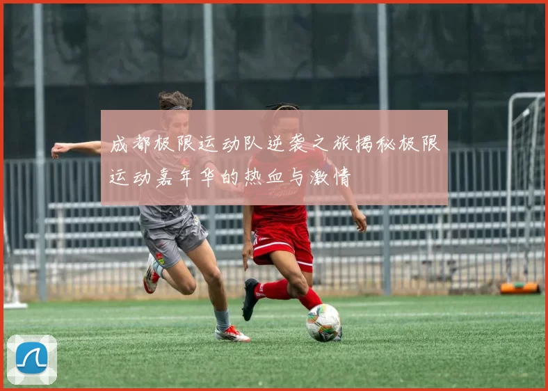 成都极限运动队逆袭之旅揭秘极限运动嘉年华的热血与激情