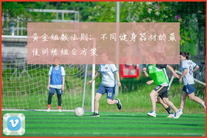 黄金组数法则：不同健身器材的最佳训练组合方案