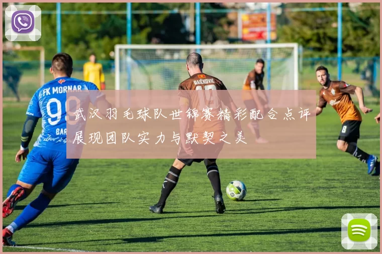 武汉羽毛球队世锦赛精彩配合点评展现团队实力与默契之美