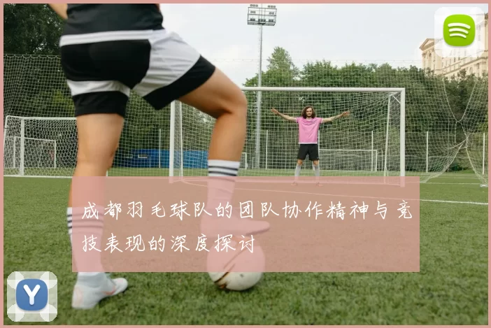 成都羽毛球队的团队协作精神与竞技表现的深度探讨