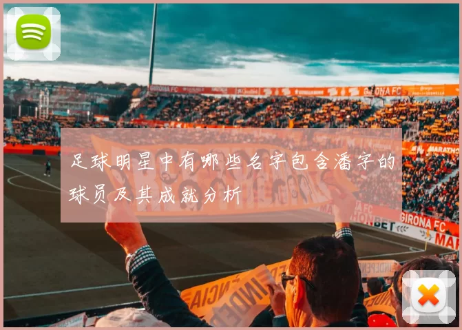 足球明星中有哪些名字包含潘字的球员及其成就分析