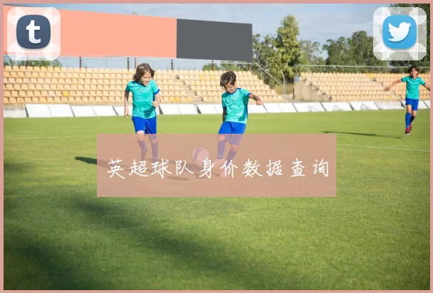 英超球队身价数据查询