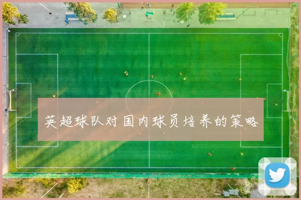 英超球队对国内球员培养的策略