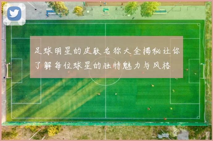 足球明星的皮肤名称大全揭秘让你了解每位球星的独特魅力与风格