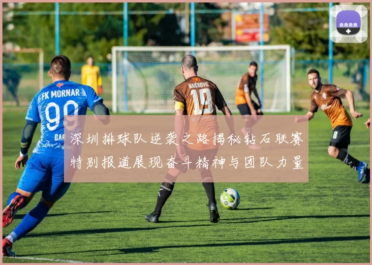 深圳排球队逆袭之路揭秘钻石联赛特别报道展现奋斗精神与团队力量