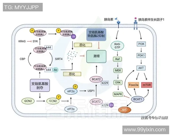 广州羽毛球队实力分析与数据解读：揭示其竞技表现与发展潜力